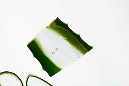 Fresh slices of Aloe Vera on white Background, studio shotの写真素材