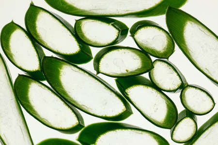 Fresh slices of Aloe Vera on white Background, studio shotの写真素材
