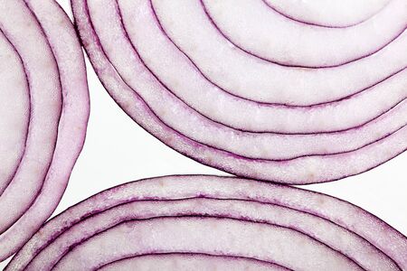 Fresh sliced onion rings on white backgroundの写真素材