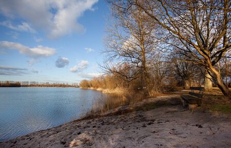 Sandy lake shore with bare branched deciduous trees and aquatic grasses bathed in glowing evening lightの写真素材