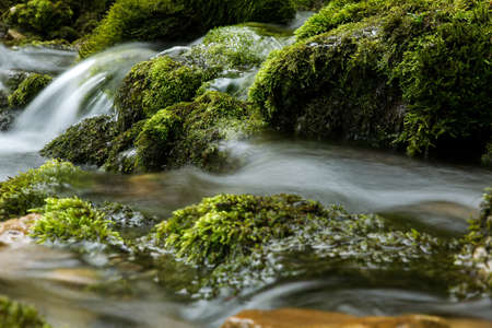 fresh water flowing in a small clear alpine mountain creek