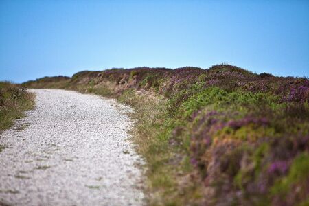 Foothpath towards the coast at Cap Frehel Brittany France