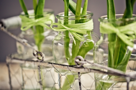 Three beautiful pastel colored pink tulips in glass vases and decorative metal basketの写真素材