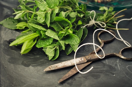 Thyme, Sage and Rosemary with Laurel bundled with cotton string and old rusty scissor on Slate boardの写真素材