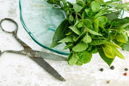 Thyme, Sage and Rosemary with Laurel bundled with cotton string and old rusty scissor on wooden boardの写真素材