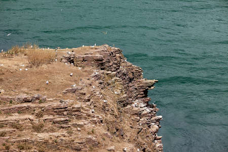 Cliffs with Heath vegetation at Cap Frehel in Brittany Franceの写真素材