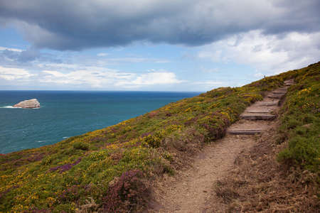 Cliffs with Heath vegetation at Cap Frehel in Brittany Franceの写真素材