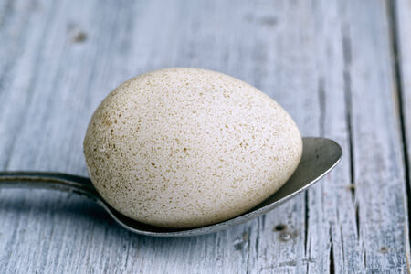 White Spotted Duck Egg and metal Spoon on wooden board