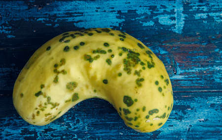 Yellow and Green Cucumber on blue backgroundの写真素材