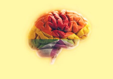 brain with LGBT colors on a yellow background.3d illustrationの写真素材