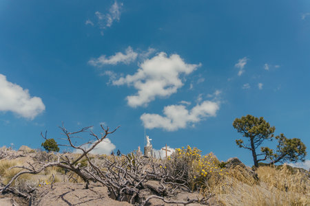 the Telapon is a volcano located in the Neovolcanic Axis of Mexicoの写真素材