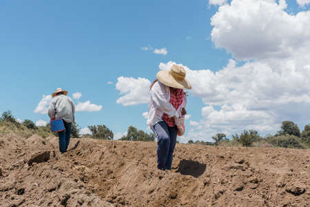 Farmers Working In The Field Setの写真素材