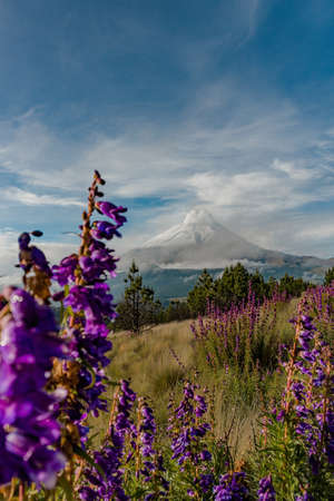 beautiful natural landscape of popocatepetl volcanoの写真素材