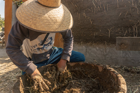 person mixing straw and earth for the technical construction of bioconstructionの写真素材