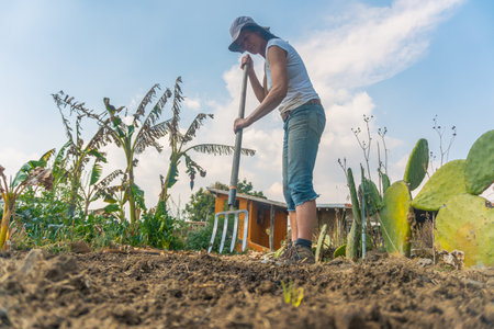 woman working in her gardenの写真素材