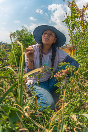 Farmer woman during garlic planting process
