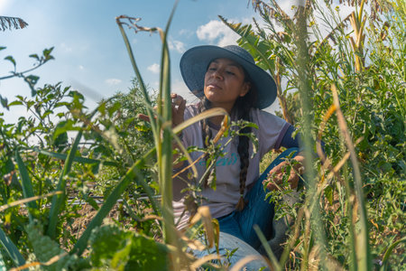 Young Woman Harvesting Home Grown garlic