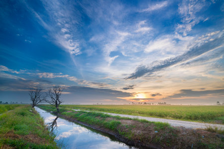 Beautiful sunrise at canal with colorful sky at paddy fieldの写真素材