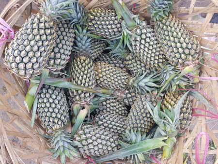 Pineapples in basket for sale at marketの素材
