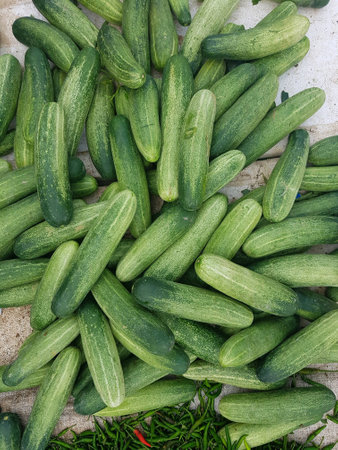 Fresh Cucumber for sale at marketの素材