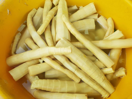 Fresh peeled bamboo sprouts for sale at marketの素材
