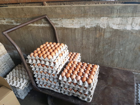 Eggs in tray stacked on trolley for sale at marketの素材