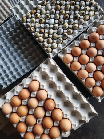 Various type and sizes of eggs sell at the marketの素材