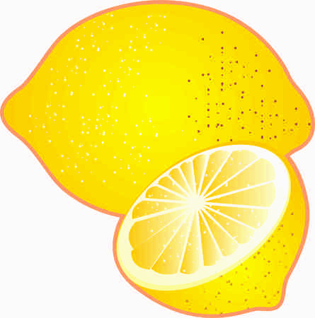 Lemon Vector Imageの写真素材