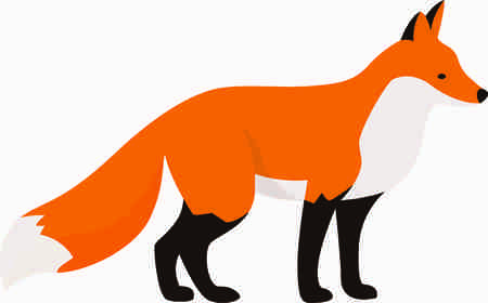 Fox Imageの写真素材