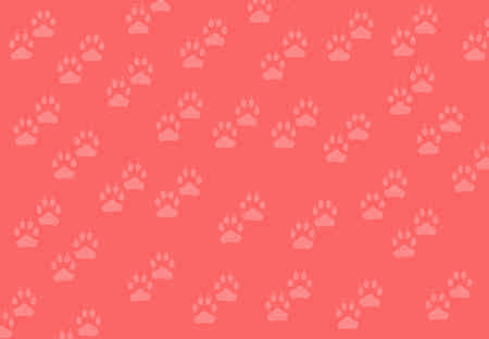 Background Colorful Designの写真素材