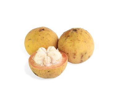 Santol fruit isolated on white backgroundの写真素材