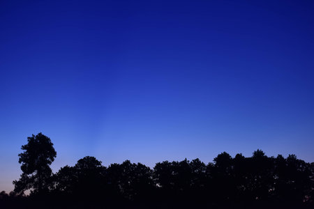 the sky abd tree silhouetteの写真素材