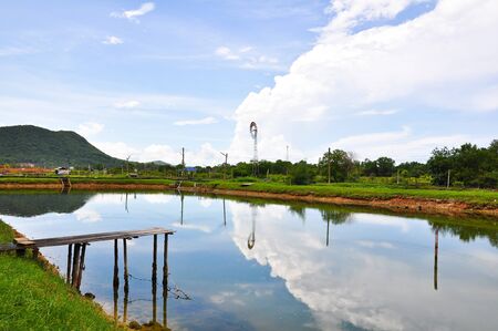Sky pond meadowの写真素材