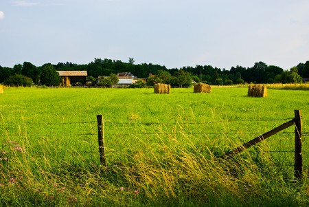 Hay bales on the green meadow in evenningの写真素材