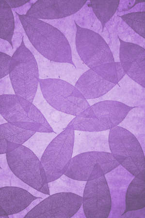 Leaves Pattern wallpaperの写真素材