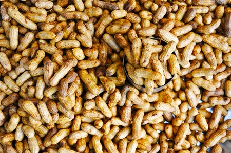 Peanutsの写真素材