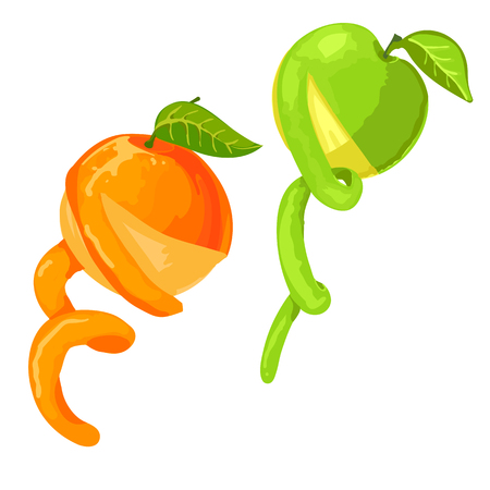orange and apple with the peel cut off partiallyのイラスト素材