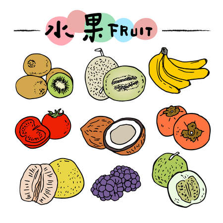 Hand drawn line fruit illustration. Healthy food concept. Colorful big collection with fruits and vegetables.のイラスト素材
