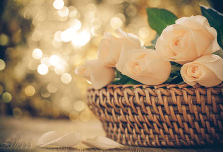 Vintage roses and background of bokehの写真素材