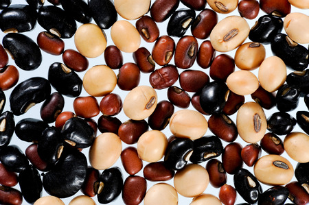 Dried grains collection on white background.の写真素材