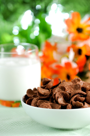 Cornflake cereals in a bowlの写真素材