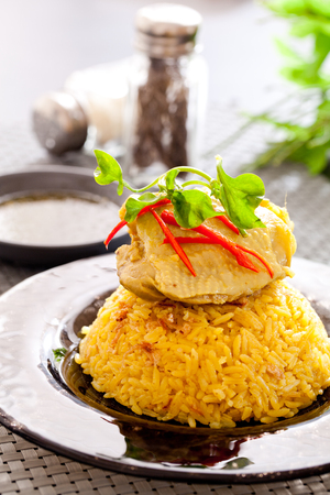 Chicken Biryani asian style. halal foodの写真素材