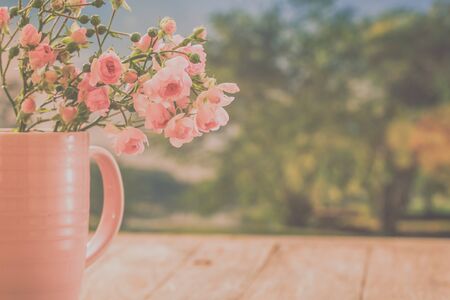 Summer beautiful garden with flowersの写真素材