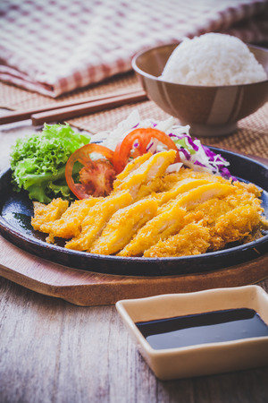 Deep fried pork (tonkutsu),japanese foodの写真素材
