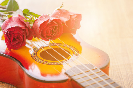 Valentines day with roses