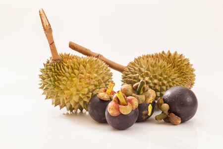 Tropical fruit durian and mangosteen.
