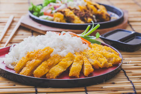 Deep fried pork (tonkutsu),japanese foodの写真素材