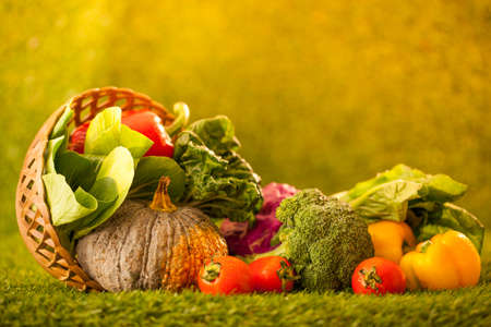 Colorful raw vegetables in the basket