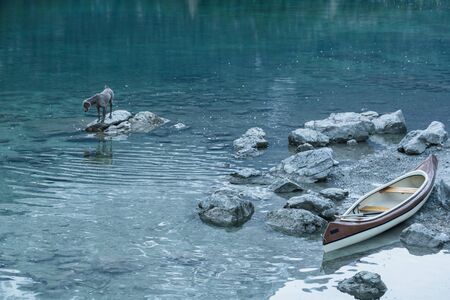 Canoe on calm blue lake and dog, Aibsee, Germanyの写真素材