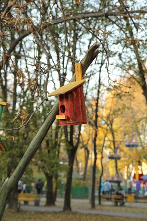 Nesting box hanging on the tree, park in the summerの写真素材